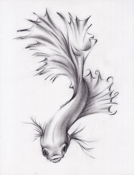 Рыбка эскиз