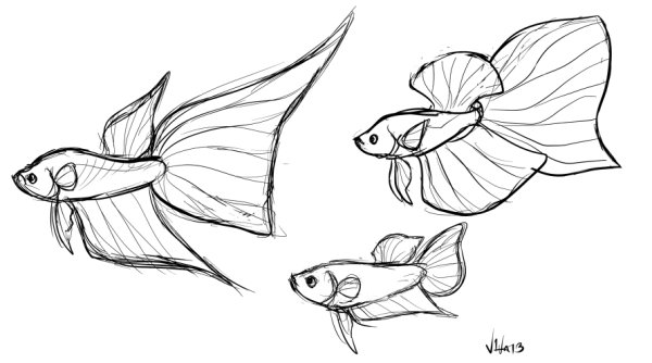 Гуппи рыбки