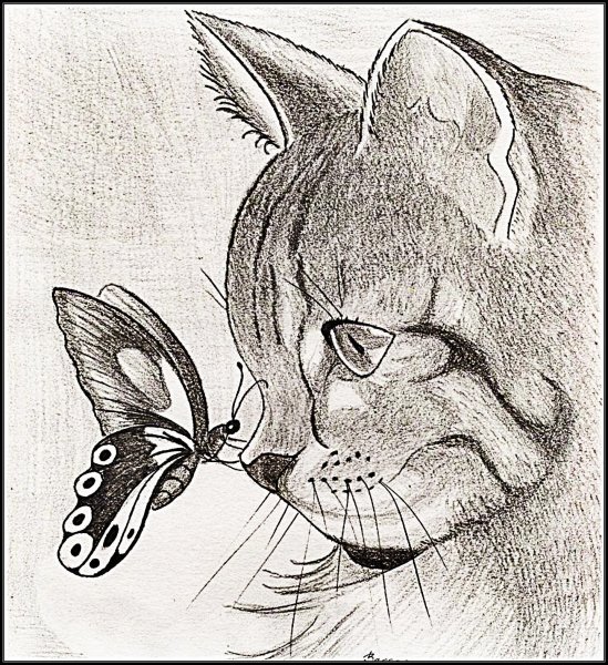 Сложные рисунки карандашом