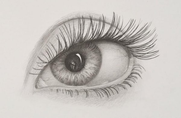 Рисунки обычным карандашом