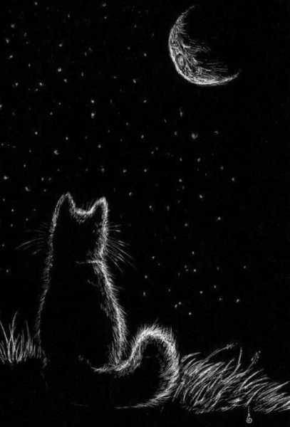 Рисунки белым по черному