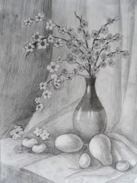 Натюрморт карандашом