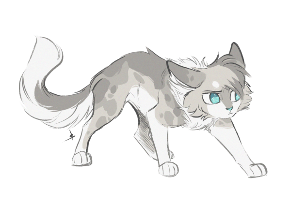 Коты Воители аниме