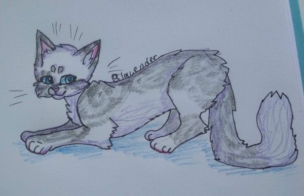 Коты Воители рисунки детей