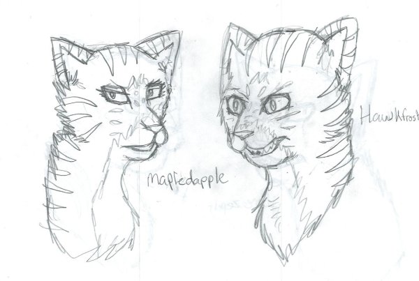 Рисовать котов воителей