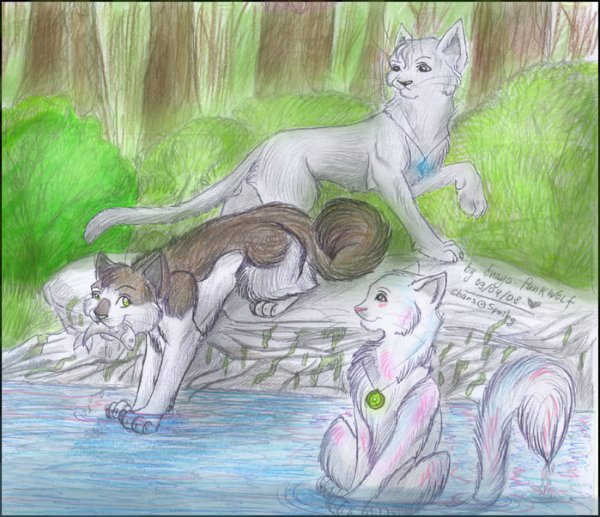 Срисовки котов воителей