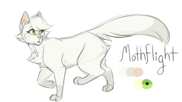 Коты Воители для срисовки