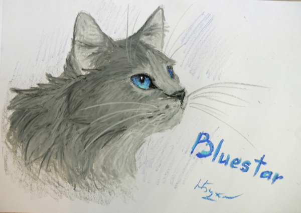 Рисунки котов воителей карандашом