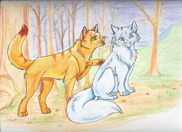 Срисовать котов воителей