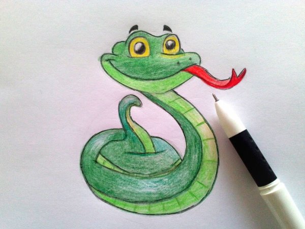 Змея карандашом