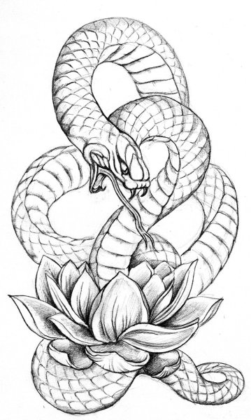 Рисунки для срисовки змея