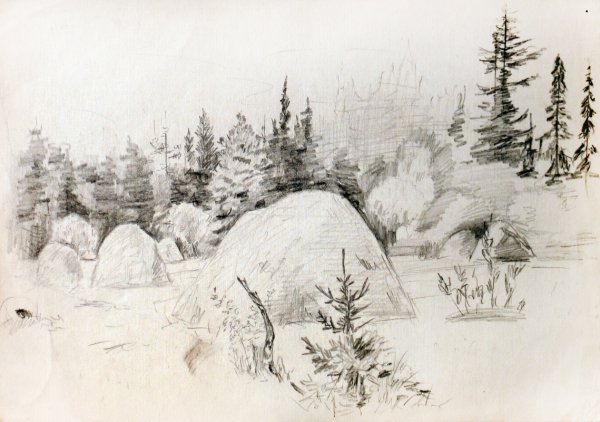 Зимний лес карандашом