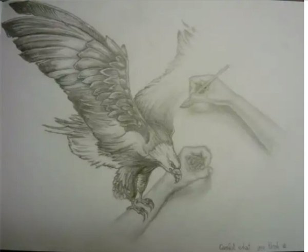 Орел карандашом