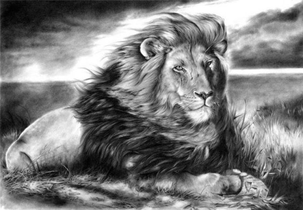 Рисунки Львов