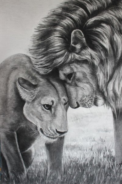 Животные карандашом