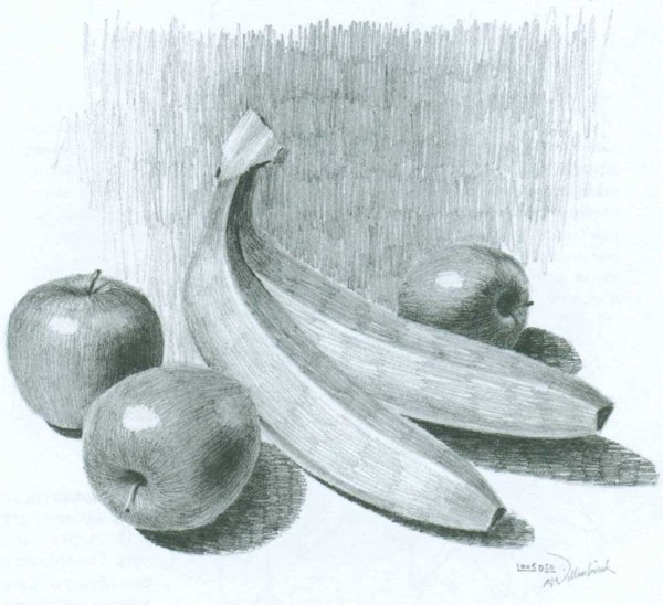 Натюрморт рисунок карандашом