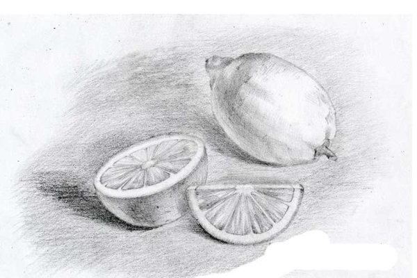 Лимон рисунок карандашом