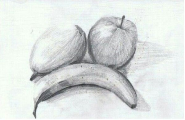 Натюрморт с фруктами карандашом