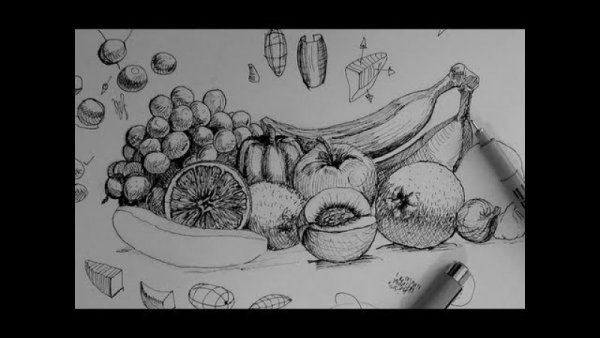 Фрукты карандашом