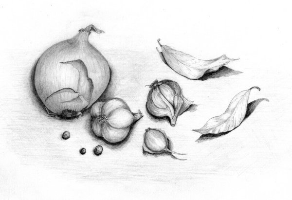 Зарисовки фруктов