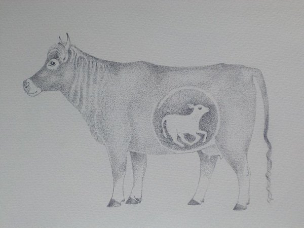 Легкие рисунки коровы