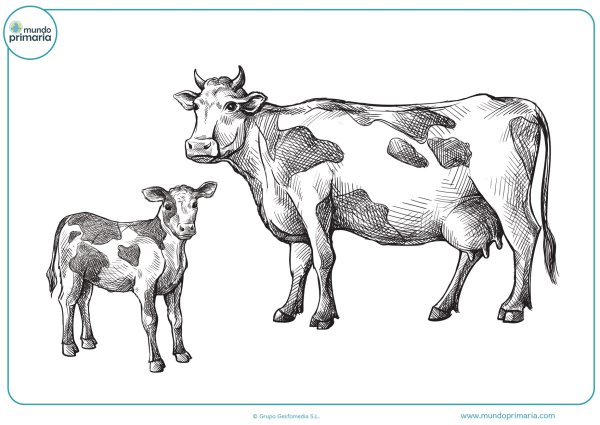 Корова карандашом