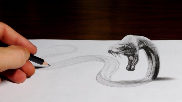 3d рисунки карандашом