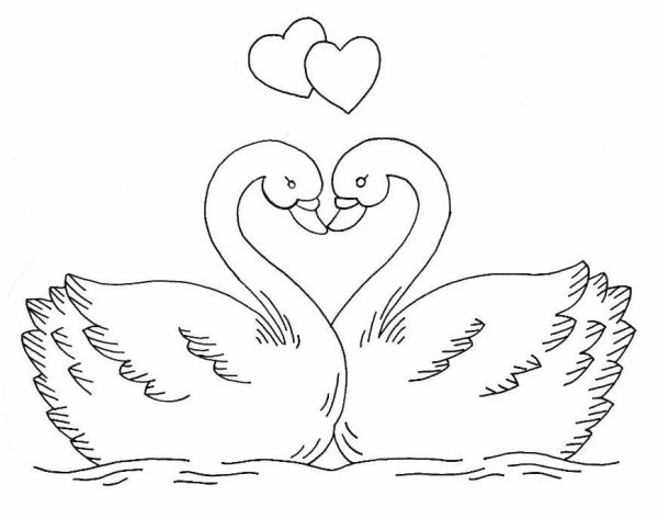 Рисунок лебедя для срисовки
