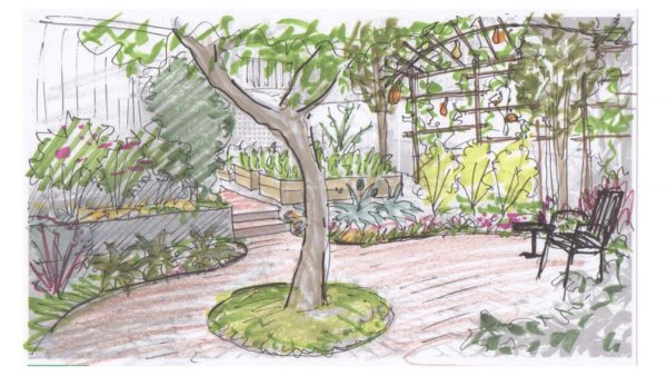 Нарисовать сад