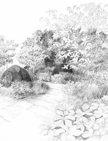 Ландшафт в графике