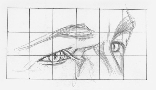 Цветы для срисовки