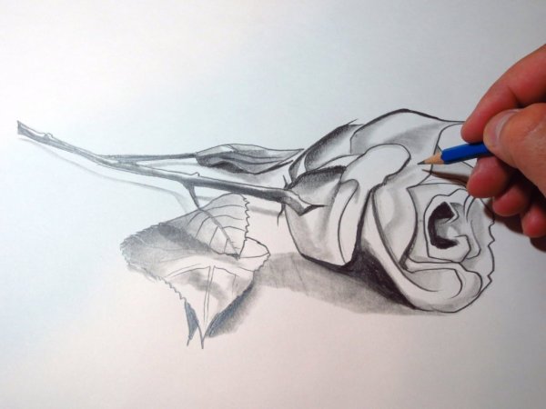 Грустные рисунки