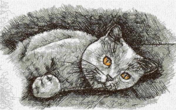 Британский кот карандашами