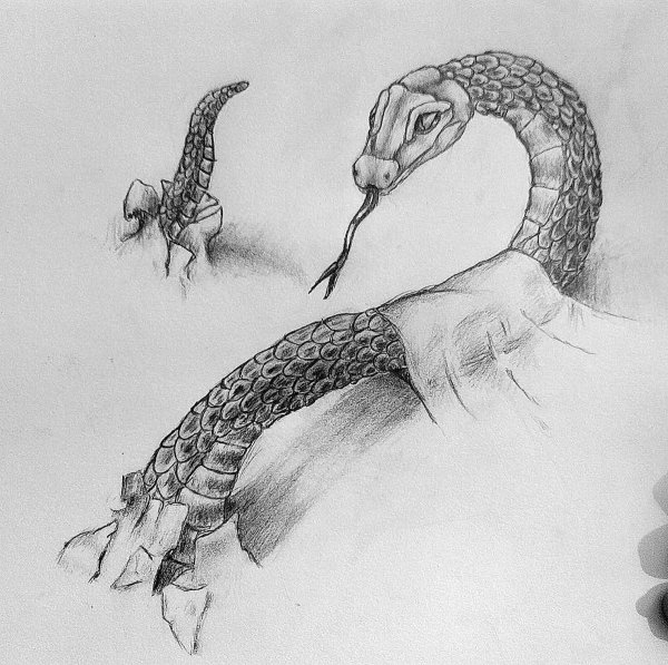 3д змея карандашом