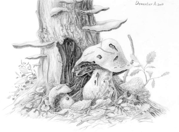 Осенние зарисовки карандашом