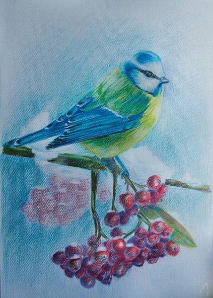 Природа цветными карандашами