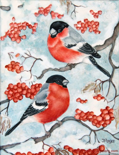 Снегирь на ветке рябины