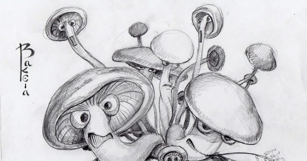 Грибы скетч