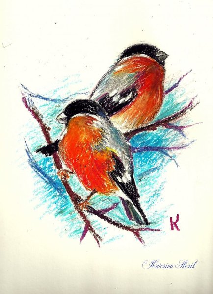 Рисование снегиря