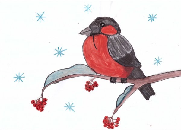 Нарисовать снегиря