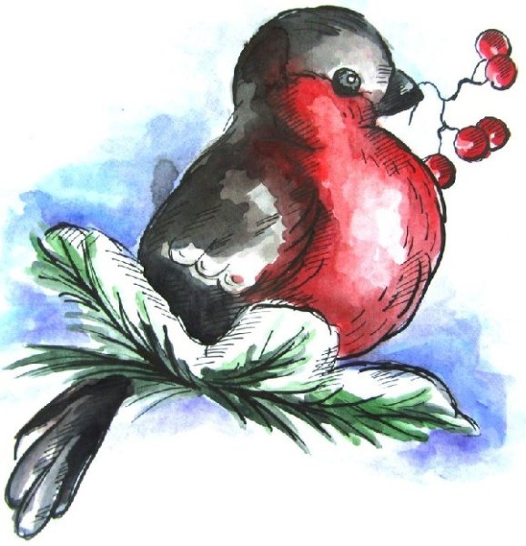 Снегирей рисунки для срисовывания