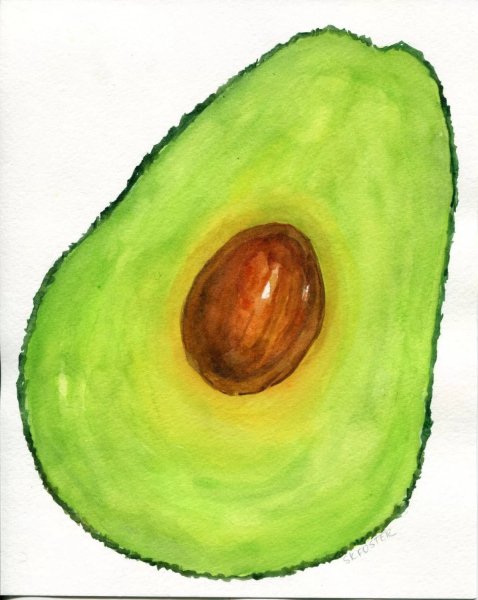 Авокадо срисовка легко