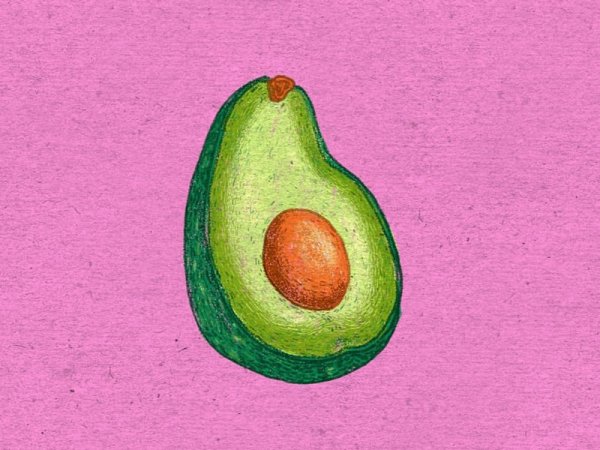 Легкие рисунки авокадо