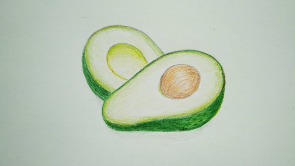 Лёгкие рисунки авокадо