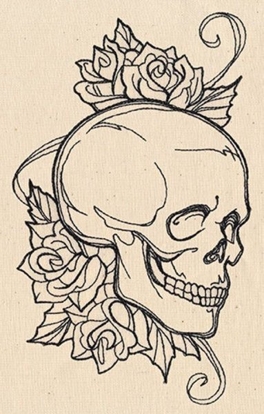 Череп рисунок карандашом