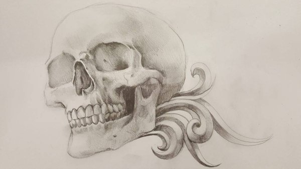 Нарисовать череп