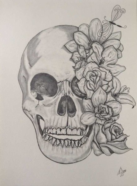 Череп карандашом