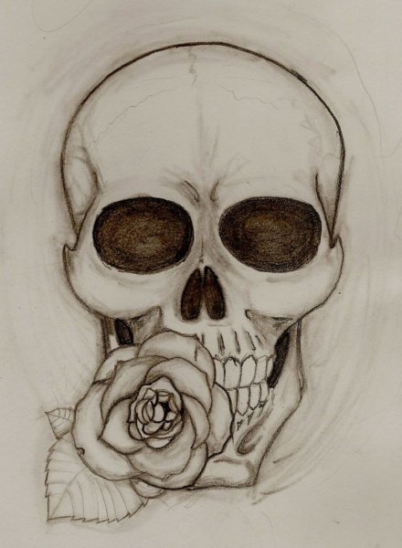 Череп для срисовки