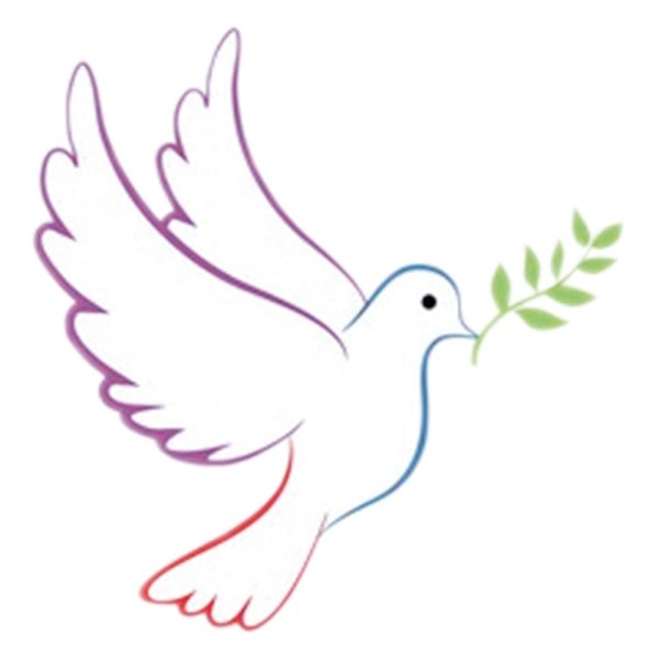 Голубь рисунок карандашом