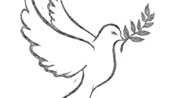 Голубь карандашом